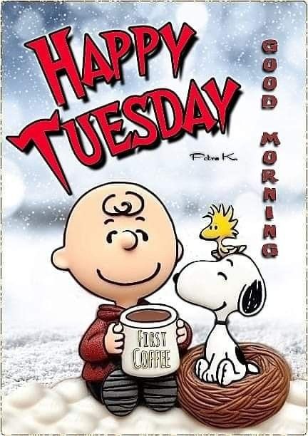 Tuesday Snoopy, Tuesday Quotes Good Morning, Tuesday Greetings, Charlie Brown Quotes, Good Morning Snoopy, Facebook Engagement Posts, Snoopy Collectibles, Happy Tuesday Quotes, Good Morning Tuesday