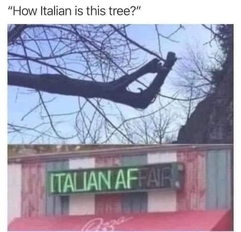 Italian Memes, Laugh Track, In Memes, Fresh Memes, Funny Video Memes, Funny Relatable Quotes, A Sign, Satire, Bones Funny