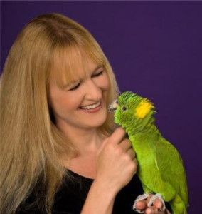 Barbara Heidenrich on petting a #parrot #pet #bird Dog Clicker Training, Parrot Training, Dog Training Books, Parrot Pet, Amazon Parrot, Animal Training, Parrot Toys, Pet Bird, Life Expectancy