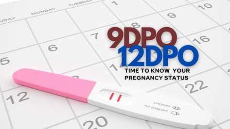 Are you a couple planning on getting pregnant? Are you searching for information regarding how, what and why about getting pregnant? Did hear about 9 DPO, 12 DPO or 13 DPO and you wanted to learn more about them? You are at the right place.… The post Will I Be Pregnant at 12 DPO? appeared first on CareClinic. Pregnancy Kit, Negative Pregnancy Test, Am I Pregnant, Hcg Levels, Home Pregnancy Test, Symptom Tracker, Pregnancy Signs, Pregnancy Symptoms, Hormonal Changes