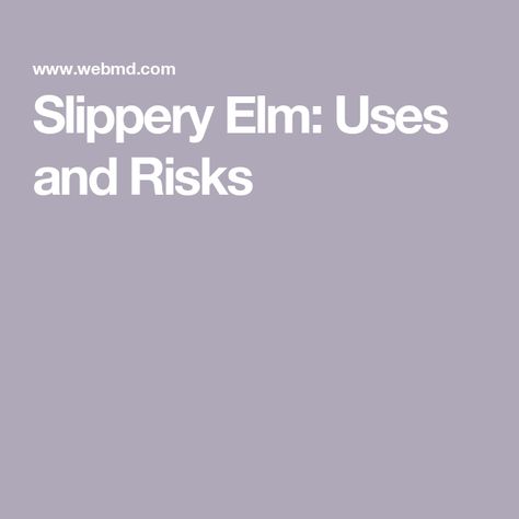 Slippery Elm: Uses and Risks Slippery Elm Benefits Women, Slippery Elm Benefits, Slippery Elm Powder, Slippery Elm Bark, Nutrition Drinks, Slippery Elm, Cold Symptoms, Integrative Medicine, Cold Sore