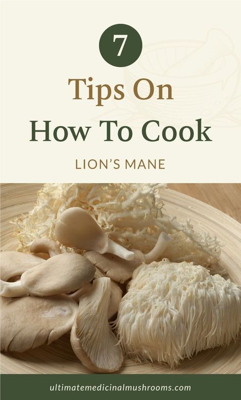 Lions Mane Mushroom Recipe, Vegetarian Mushroom Recipes, Cooking Mushrooms, Mushroom Recipes Vegan, Resep Vegan, Vegetarian Treats, Lion's Mane Mushroom, Mushroom Stir Fry, Lions Mane