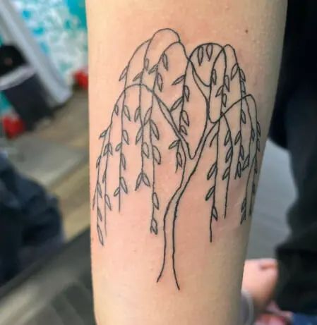 Simple Willow Tree Tattoo, Willow Tree Tattoo Small Simple, Small Willow Tree Tattoo, Dainty Willow Tree Tattoo, Willow Tree Tattoo On Back, Nyc Doodles, Tiny Weeping Willow Tree Tattoo, Weeping Willow Tree Tattoo, Giving Tree Tattoo