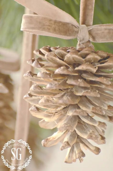 Make these beautiful bleach blonde pinecones with just 3 ingredients. Even if you are not crafty you can do this! #christmas #christmasdiy #christmasdecorating #pinecones Bleached Pinecones, Pinecone Diy, Bleach Pinecones, Giving Tree, Pine Cone Art, Diy Pinecone, The Giving Tree, Pinecone Ornaments, Pine Cone Decorations