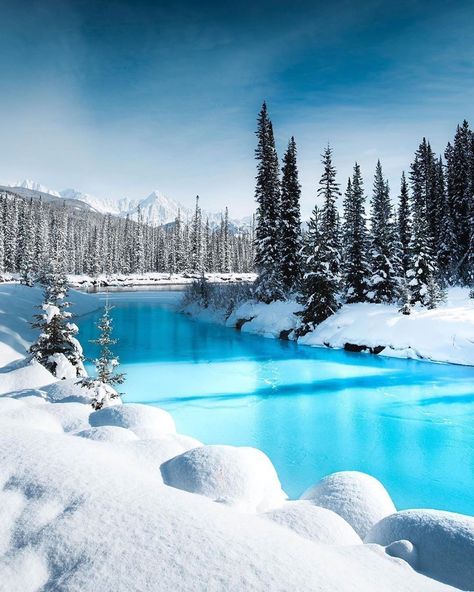 Banff Canada, Snow Covered Trees, Winter Scenery, Winter Beauty, Snow Scenes, Winter Pictures, Banff National Park, Alam Yang Indah, Winter Landscape