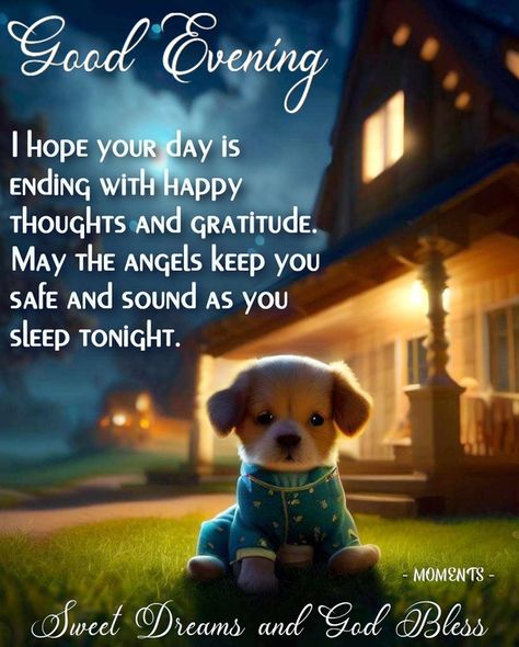 Wishing You A Good Night, Blessed Evening Quotes Good Night, Evening Blessings Beautiful, Have A Good Night My Friend, Have A Good Evening Gif, Good Night Friends Friendship, Evening Sayings, Blessed Evening Quotes, Good Night Sweet Dreams Cute Beautiful