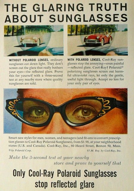 61 Cool Ray Polaroid Sunglasses | 1950sUnlimited | Flickr Woman's Glasses, 60s Glasses, Polaroid Original, Eye Designs, Polaroid Sunglasses, Diamond Face Shape, High Cheekbones, Thanksgiving Feast, Vintage Eyeglasses