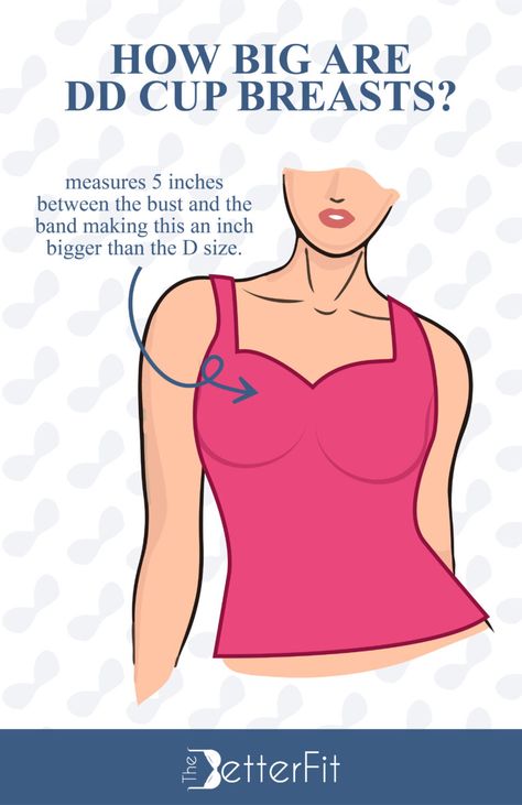 How Big Is a DD Bra Cup Size? | TheBetterFit 36dd Cup Outfits, Bra For Big Cup, Dd Bra Size, Dd Bra, Bra Cup Size, Small Bra, Dd Cup, Bra Cup Sizes, Minimiser Bra