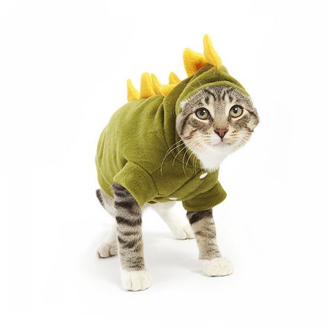 Cat/ Meowingtons/ Cat Costume/ Kitten/ Meow/ Dinosaur/ Dinosaur Costume/ Yellow/ Green/ Cute/ Awe/ Meow/ Pet/ Cat Clothes Cat In Dinosaur Costume, Dino Photoshoot, Costumes For Animals, Oogie Boogie Costume, Kiki Cat, Cute Cat Costumes, Cats In Costumes, Big Cats Photography, Cats In Hats