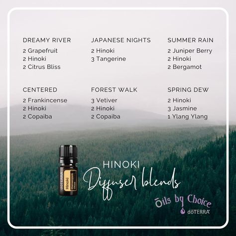 Doterra Calming Diffuser Blend, Hinoki Essential Oil, Sacred Sisters, Copaiba Essential Oil, Roller Blends, Doterra Diffuser, Benefits Of Essential Oils, Doterra Diffuser Blends, Diy Essential Oil Recipes