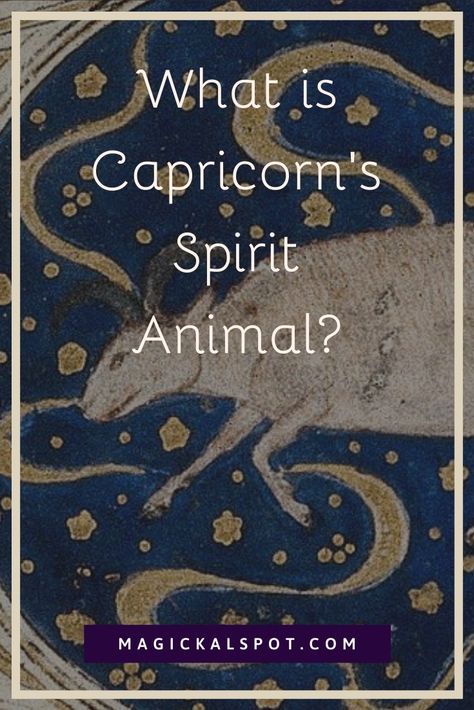 Pet Peeves List, Spirit Animals Series, Capricorn Personality, Wiccan Rituals, Animal Zodiac, Magickal Herbs, Moon Spells, Spiritual Animal, Voodoo Spells