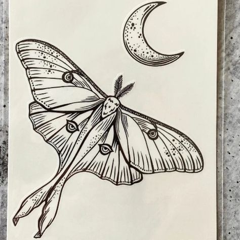 Luna Moth Temporary Tattoo Black Line Tattoo Winged Insect | Etsy Luna Moth Tattoo Fine Line, Lunar Moth Tattoo Fineline, Luna Moth With Eyes Tattoo, Black And White Luna Moth Tattoo, Luna Moth Black And White, Symmetrical Tattoo, Black Line Tattoo, Tarot Card Tattoo, Bug Tattoo