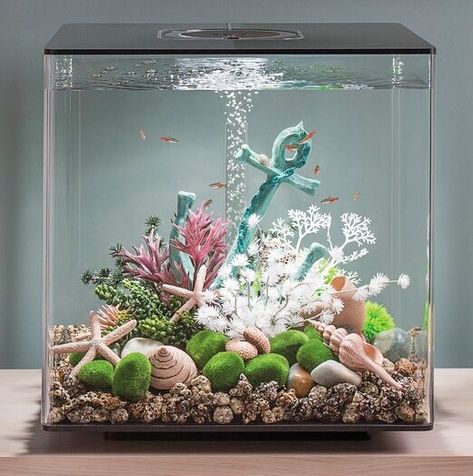 Aquarium Ideas for your Home | Create an Ocean Underwater World - Coastal Decor Ideas Interior Design DIY Shopping Girly Aquarium Ideas, Beach Aquarium, Aquarium Decorations Ideas, Beach Themed Fish Tank, Cool Aquarium Ideas, Mermaid Fish Tank, Small Aquarium Ideas Living Rooms, Aquarium Decor Ideas, Aquarium Ideas Decoration