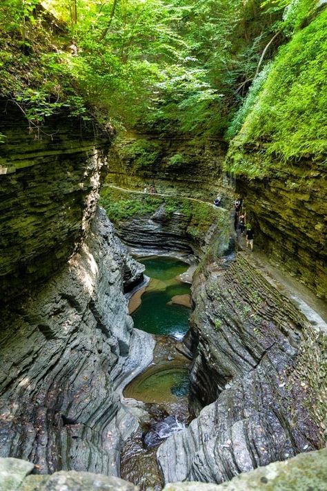 Allegany State Park New York, Allegany State Park, Travel New York, Watkins Glen State Park, York Travel, Places In New York, Watkins Glen, Finger Lakes, Upstate Ny