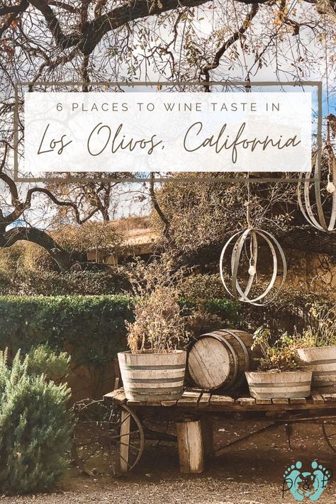 6 places to taste wine in Los Olivos, California. #winetasting #LosOlivos #California California Wineries, Santa Ynez Wineries, San Luis Obispo Wineries, Lodi California Wineries, Santa Ynez Valley, Santa Ynez, Travel Nursing, Wine Country California, Wine Festival