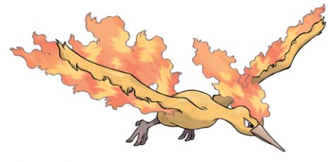 Moltres (Concept) - Giant Bomb All 151 Pokemon, Pokemon Fire Red, Moltres Pokemon, Pokemon Website, Original 151 Pokemon, Pokemon Original, Bird Pokemon, Fire Pokemon, Gen 1 Pokemon