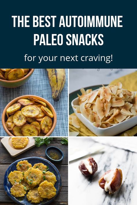 Are you looking for snack ideas on the Autoimmune Paleo Diet? Here are some easy AIP Diet snacks for your next craving. #aipdiet #autoimmunepaleo #aipsnack Aip Diet Recipes, Aip Snack, Paleo Diet For Beginners, Autoimmune Paleo Diet, Autoimmune Paleo Recipes, Aip Paleo Recipes, Autoimmune Diet, Paleo Meal Plan, Aip Diet