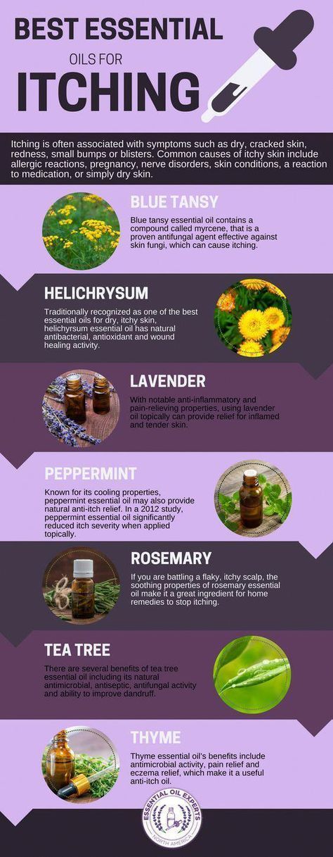 Tips And Techniques For Raw Food Recipes Essential Oils For Itching, Blue Tansy Essential Oil, Top Essential Oils, Myrrh Oil, Doterra Oil, Essential Oil Remedy, Oil Remedies, Patchouli Oil, Chamomile Oil