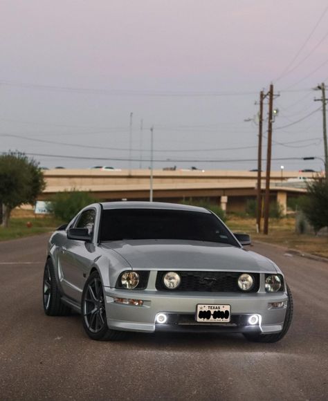 S197 Mustang Gt, 05 Mustang, 2005 Mustang Gt, Mustang Car Aesthetic, Mustang S197, 2023 Ford Mustang, 2022 Ford Mustang, 2005 Mustang, Mustang 2005