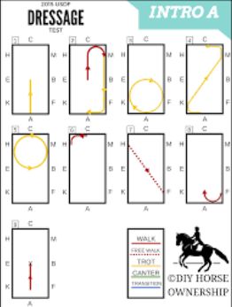 Dressage Patterns, Dressage Tack, Dressage Tests, Test Tips, Dressage Exercises, Riding Exercises, Horse Training Exercises, Horseback Riding Tips, Horse Lessons