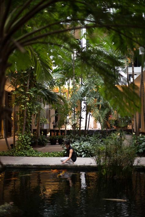 Bal Harbour Shops Exterior Exhibition, Bal Harbour Shops, Landscape Design Drawings, Glamping Resorts, Courtyard Design, Backyard Seating, Urban Forest, Bal Harbour, Arch Interior