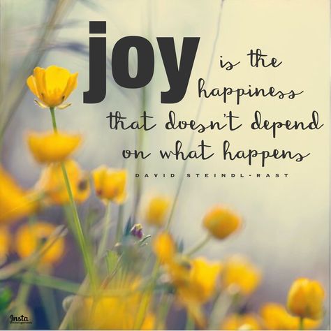 “Joy is the happiness that doesn’t depend on what happens.” —David Steindl-Rast #InstaEncouragements #quotes #joy Patience Citation, Barbie Quotes, Patience Quotes, Quotes Arabic, Joy Quotes, Joy Of The Lord, Robert Kiyosaki, Choose Joy, Tony Robbins