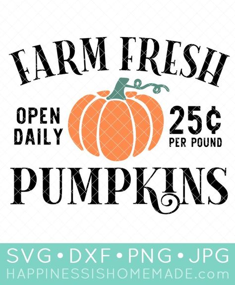 Looking for free pumpkin SVG files for Cricut and Silhouette? We have 14 Totally Free Pumpkin SVGs - perfect for home decor, shirts, & more! Christmas Fonts Free, Pumpkin Svg, Cheap Christmas, Christmas Fonts, Autumn Crafts, Free Svg Files, Holiday Projects, Svg Free Files, Pumpkin Decorating