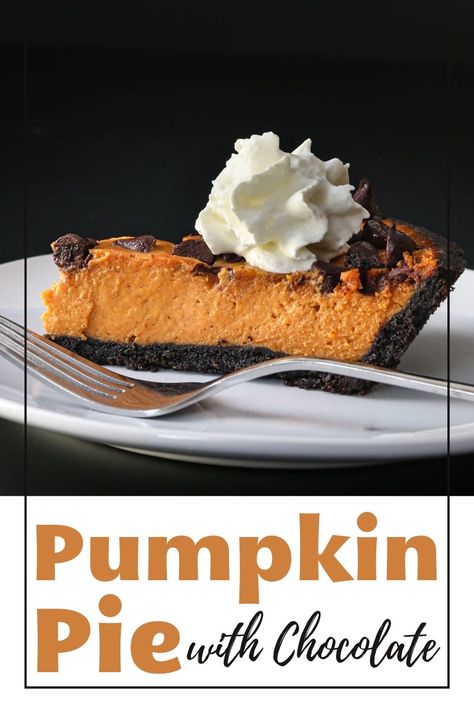 Chocolate Pumpkin Pie, Kinds Of Pie, Pumpkin Dishes, Best Pumpkin Pie, Pumpkin Pie Mix, Chocolate Crust, Fool Proof, Pumpkin Pie Recipes, Chocolate Pies