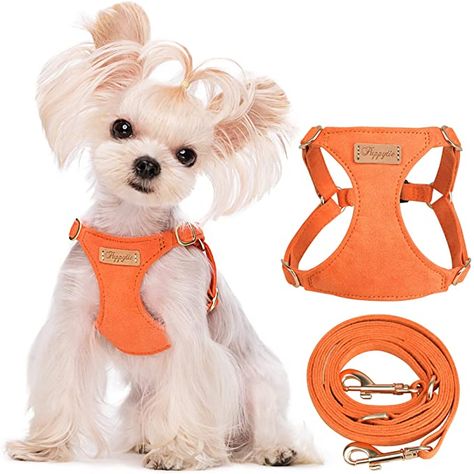 Amazon.com : No Pull XXS Puppy Harness with Multifunction Dog Leash,Soft Adjustable No Choke Escape Proof Pet Harness Vest,Orange,XXS : Pet Supplies Bichon Frise Poodle, Houska Castle, Shih Tzu Bichon, Harness For Small Dogs, Cute Dog Harness, Puppy Harness, Dog Vest Harness, Yorkie Poo, Scotland Uk