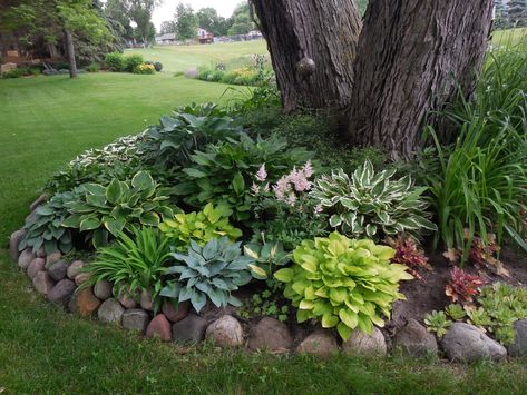 Front Yard Landscaping Budget, Easy Diy Landscaping Ideas, Easy Front Yard Landscaping Budget, Front Yard On A Budget, Easy Diy Landscaping, Yard On A Budget, Easy Front Yard Landscaping, Landscaping Around Trees, Shade Garden Plants