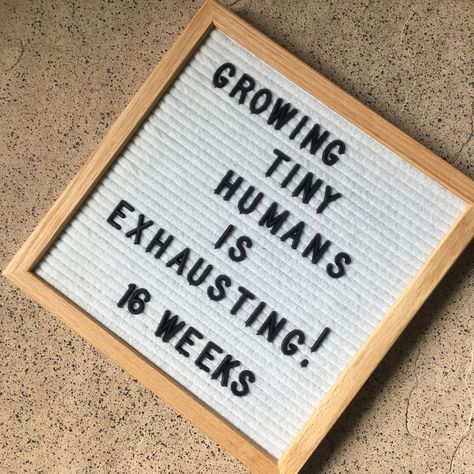 Pregnancy Letter Board, Weekly Pregnancy Photos, Belly Pictures, Weekly Pregnancy, Pregnancy Announcement Pictures, 16 Weeks Pregnant, Announcement Pictures, Baby Weeks, Pregnancy Pics