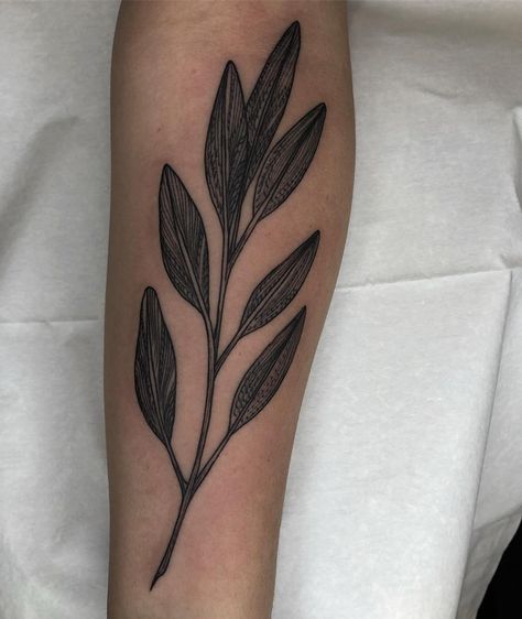 Lil sage leaves this afternoon for my friend @cheeks_the_kid thank you! @blackoaktattoo #222 #blacktattooart #blacktattooing #chicago… Healthy Ovaries, Sage Tattoo, Adorable Tattoos, Lisa Tattoo, Filler Tattoos, Sleeve Filler, Feminine Tattoo Ideas, Compass Tattoos, Tattoo Sleeve Ideas