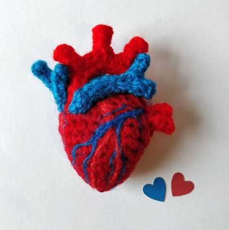 Anatomical Heart Crochet Pattern Free, Crochet Human Heart, Crochet Anatomical Heart, Heart Amigurumi, Crochet Cherry, Knitting Toys, Heart Crochet, Crochet Brooch, Colorful Crochet