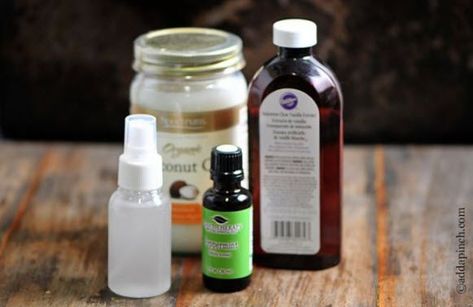 DIY Vanilla Mint Dog Perfume - PetDIYs.com Dog Deodorizer Spray, Dog Safe Essential Oils, Dog Deodorant, Dog Deodorizer, Toothpaste Recipe, Dog Perfume, Essential Oils Dogs, Perfume Versace, Breath Spray