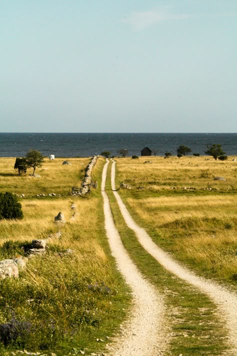 Sudret Gotland Sweden Gotland Sweden, Red Lights, Gap Year, Cinematic Photography, Tears Of Joy, Travel Europe, Mini Van, Film Camera, Scandinavia