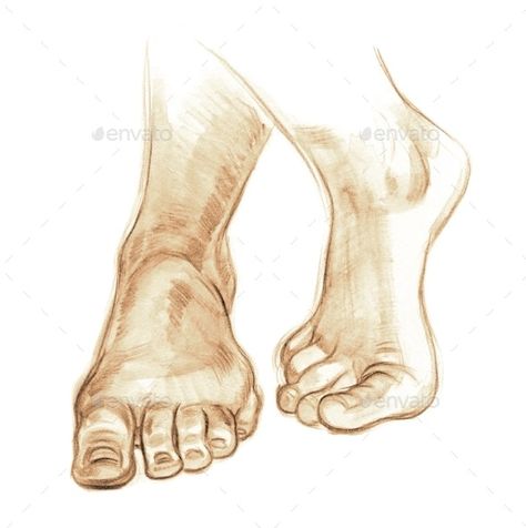 Human Feet Drawing Sketch, Legs Drawing Sketches, Foot Sketch Drawing, Drawing Feet Front View, Human Legs Drawing, Nature Drawing With Pencil, Legs Illustration, Images Of Hands, Leg Sketch