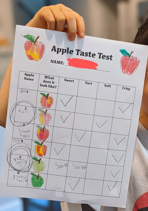 Apple Study Kindergarten, Apple Activities Elementary School, Apple Tasting Activity, Apple Activities Middle School, Apple Crafts Elementary School, Apple Activities For 3rd Grade, Apple Facts For Kids, Apple Taste Test Worksheet, Apple Homeschool Unit