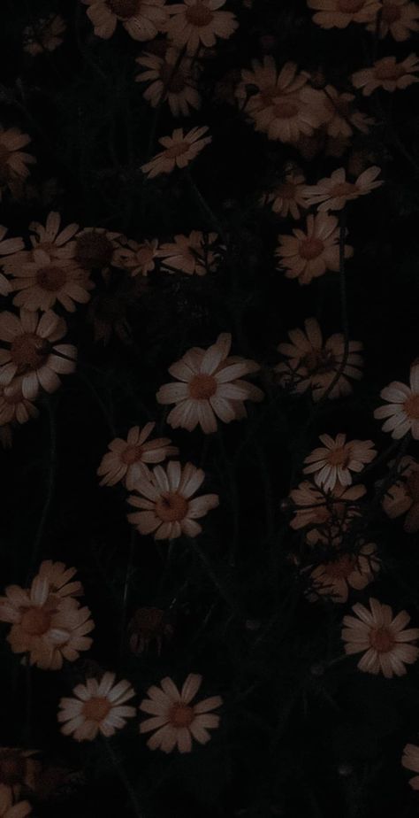 ... - @ash.filwmas Wilted Flowers Aesthetic Dark, Wilted Flowers, Phone Wallpapers Vintage, Halloween Digital Art, Flowers Black Background, Dark Background Wallpaper, Very Simple Mehndi Designs, Daisy Wallpaper, Image Chat