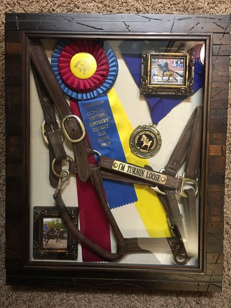 Equine Shadow Box Horse Halter Shadow Box Ideas, Ffa Shadow Box Ideas, Shadow Box For Horse Memorial, Horse Memory Box Ideas, Ribbon Display Ideas Horse, Equestrian Ribbon Display Ideas, Horse Keepsake Ideas, Horse Memorial Shadow Box Ideas, Horse Shadow Box Ideas