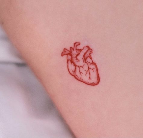 Red Heart On Wrist Tattoo, Red Human Heart Tattoo, Human Heart Tattoo, Red Heart Tattoo, Red Heart Tattoos, Molecule Tattoo, Tiny Wrist Tattoos, Health Tattoo, Hip Tattoos Women