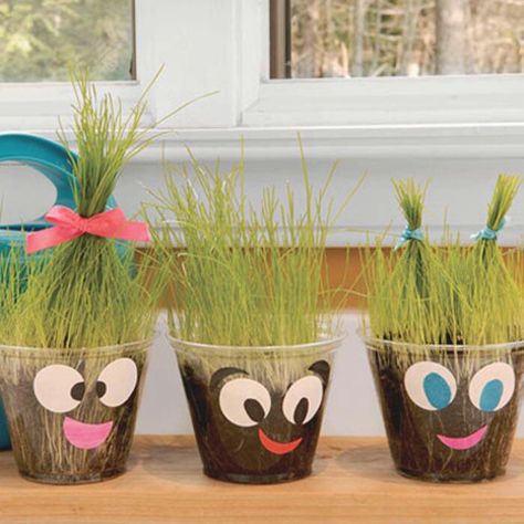 Grass head in cup Preschool Spring, Earth Day Crafts, Kindergarten Science, Preschool Science, Daycare Ideas, Science Ideas, Kids Projects, Spring Activities, Kid Activities