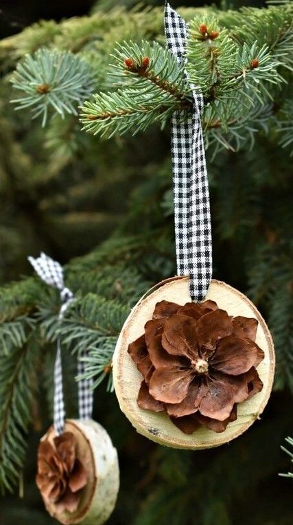 Cones Christmas Decorations, Noelle Stevenson, Pine Cones Christmas, Christmas Planter, Christmas Decorations Ideas, Pinecone Crafts Christmas, Noelle Silva, Curated Home, Pine Cone Crafts