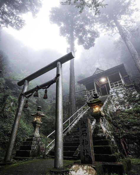 Shrines Art, Japanese Shrine, Asian Landscape, Japan Architecture, Feudal Japan, Wakayama, Japanese Landscape, Tokyo Travel, Style Japonais