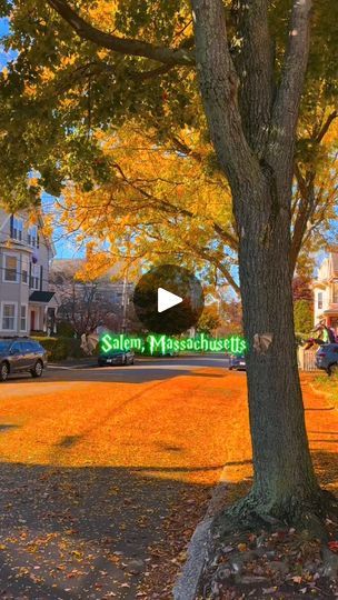 2.7M views · 109K reactions | This fall let’s take a road trip to Salem Massachusetts 🎃🍂🌙🧚🏾‍♀️💫 #idontowntherightstothismusic | Keyonna Alexander | BDK · Jack Skellington Salem Massachusetts, Take My Breath, Jack Skellington, Massachusetts, Boston, Take A, Road Trip, Alexander, Holidays