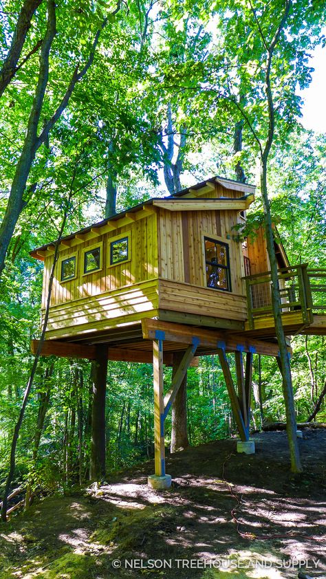 Forest Tree House, Micro House Plans, Log Cabin House, Luxury Tree Houses, Beautiful Tree Houses, Treehouse Masters, Pole House, Tree House Diy, Log Cabin Ideas