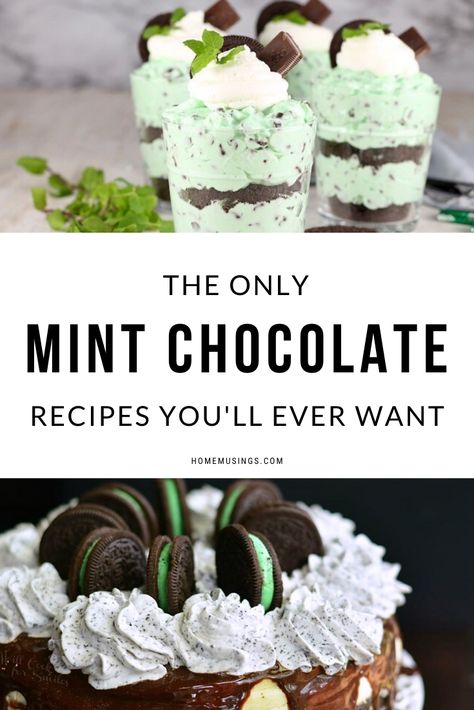 Mint Recipes Dessert, Chocolate Mint Plant, Mint Chocolate Recipes, Mint Chocolate Desserts, Mint Desserts, Mint Recipes, Chocolate Mint, Sweet Treats Recipes, Chocolate Dessert Recipes