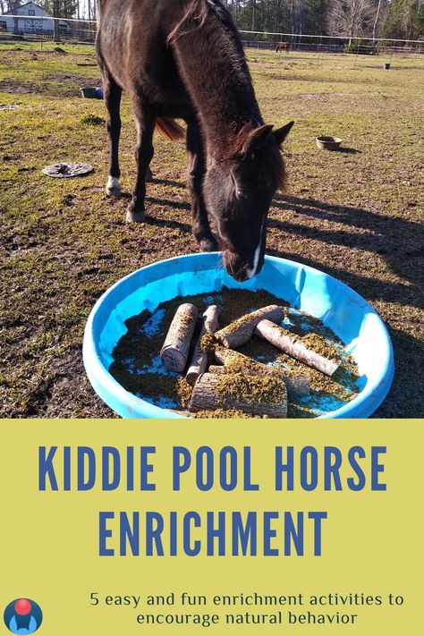 Horse Self Trimming Station, Bored Horse Toys Diy, Homemade Horse Toys, Horse Things Diy, Horse Enrichment Ideas Diy, Donkey Enrichment Ideas, Horse Pasture Enrichment, Horse Boredom Busters Diy, Horse Paddock Enrichment