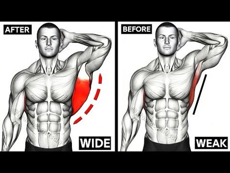 Latissimus Dorsi Workout, Lats Exercises, Lats Workout, Exercises Back, Workout At Gym, Workout With Dumbbells, Latissimus Dorsi, At Gym, Best Exercises