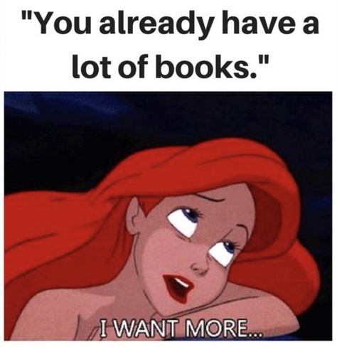 Funniest Books, Writer Memes, Bookworm Quotes, Book Funny, Book Quotes Funny, Quotes Book, Book Subscription, Reading Humor, Funny Pictures With Captions