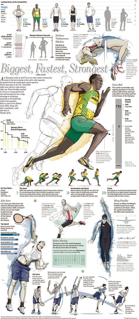 Infographics & illustrations Sports Infographic Design, Workout Infographic, Sport Infographic, Sports Infographic, Dryland Workout, Fitness Infographic, Food Reels, Professional Infographic, Sports Illustration